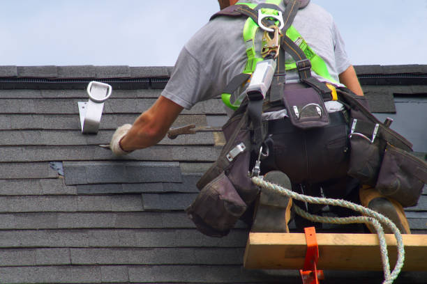 Best Roof Gutter Cleaning  in Brookside, NJ